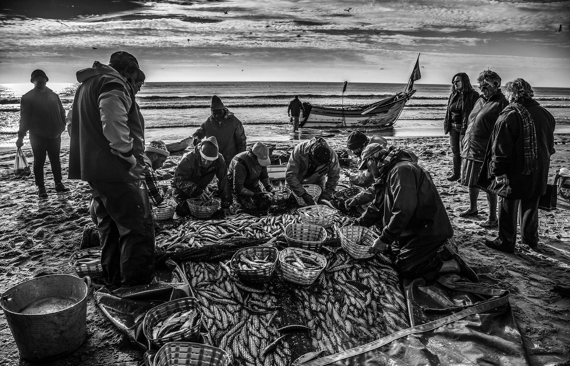 "A Partilha"- Costa da Caparica - Portugal
