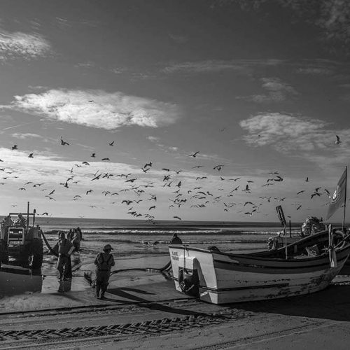 arte-xavega-costa-da-caparica-portugal