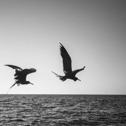 piratas-do-mar-atlantico-sul-brasil