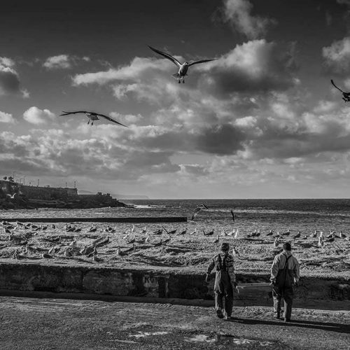 praia-do-pescador-ericeira-portugal-v2